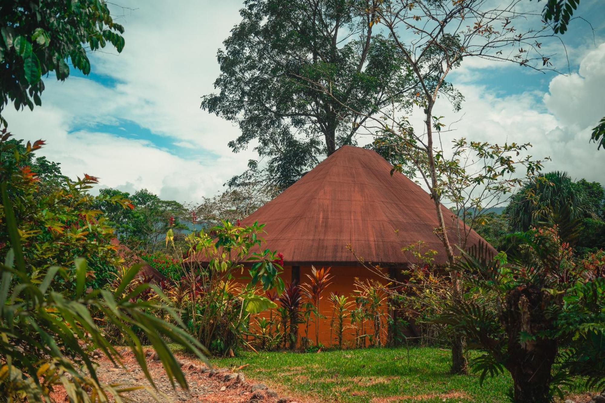 Huasquila Amazon Lodge Cotundo Buitenkant foto